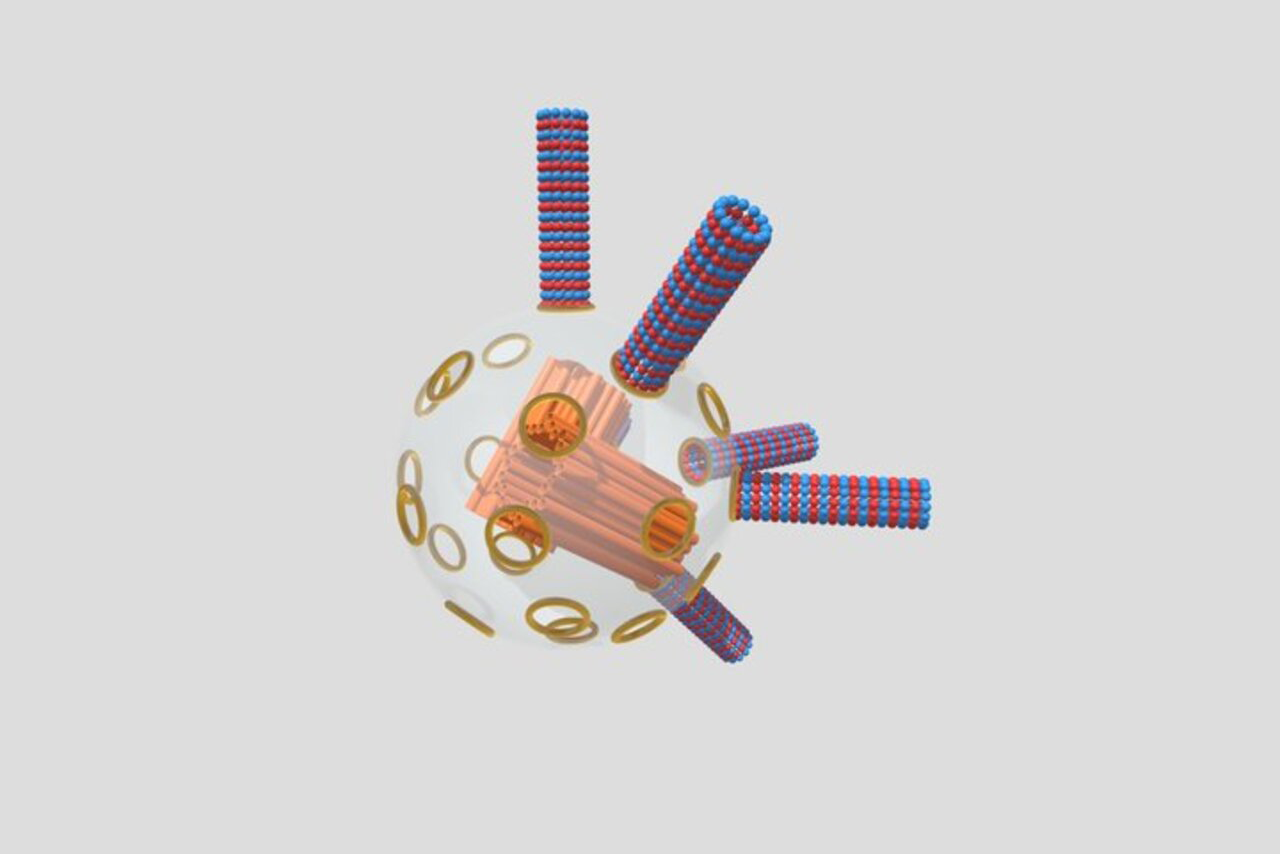 Imagem ilustrativa de um modelo tridimensional