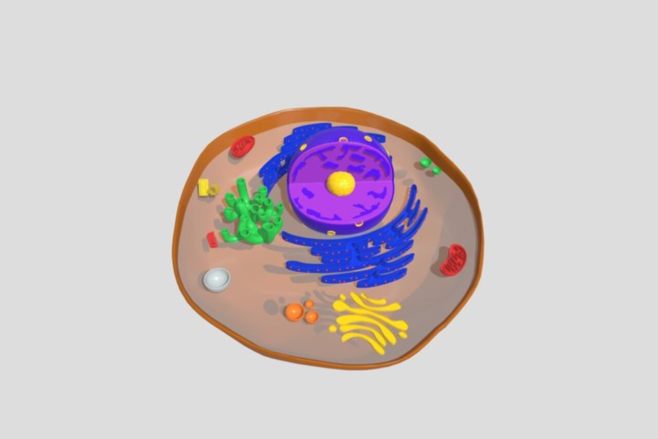 Imagem ilustrativa de um modelo tridimensional
