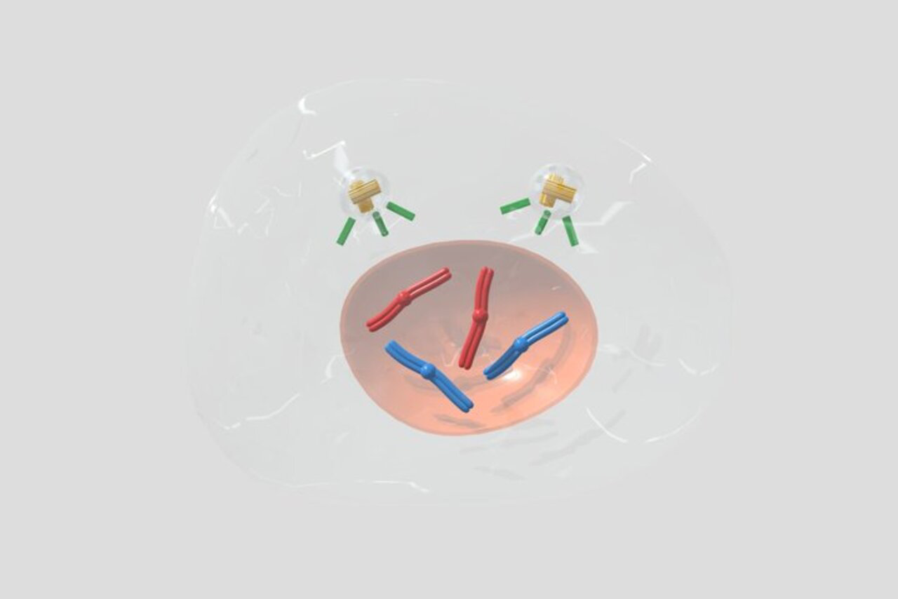 Imagem ilustrativa de um modelo tridimensional