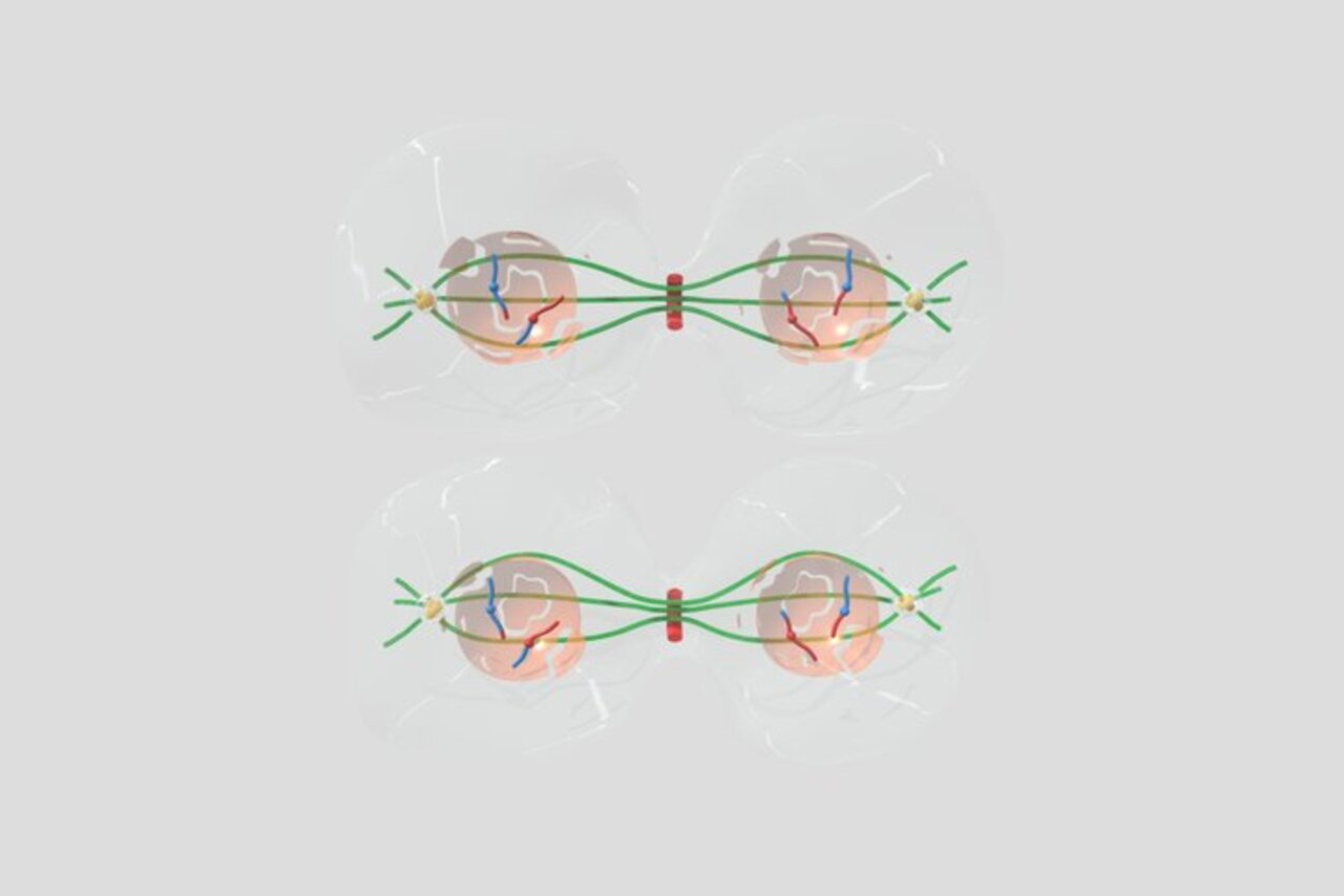 Imagem ilustrativa de um modelo tridimensional