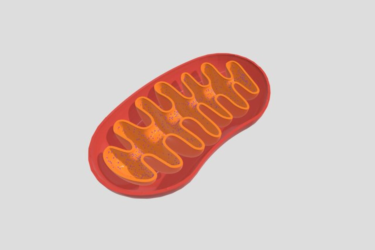 Imagem ilustrativa de um modelo tridimensional