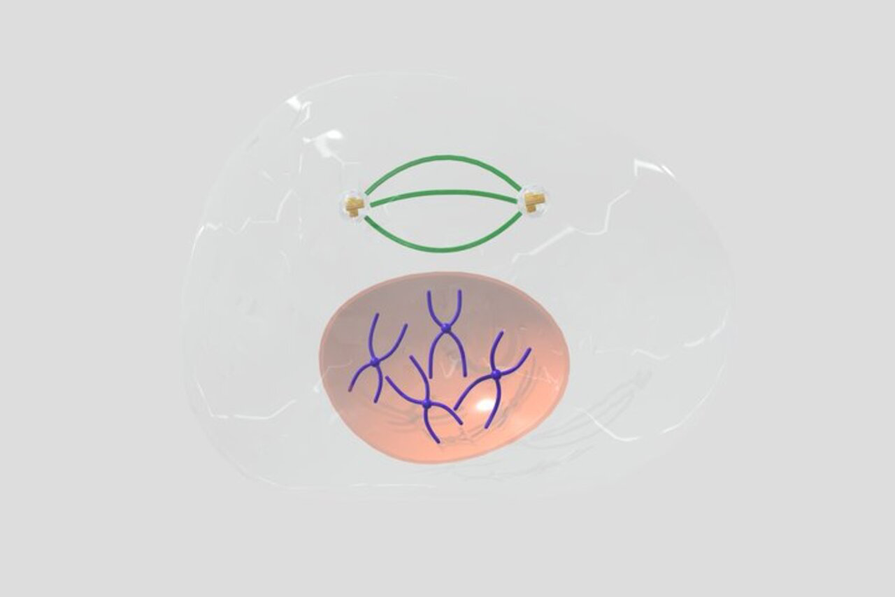Imagem ilustrativa de um modelo tridimensional