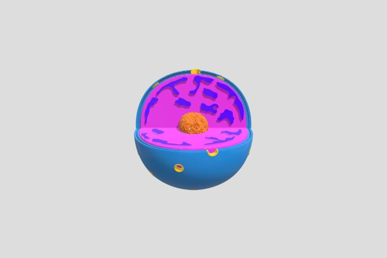 Imagem ilustrativa de um modelo tridimensional